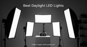 Best Daylight LED Lights