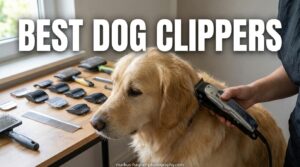 Best Dog Clippers