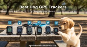 Best Dog GPS Trackers