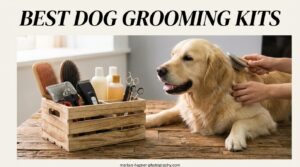 Best Dog Grooming Kits