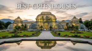 Best Greenhouses