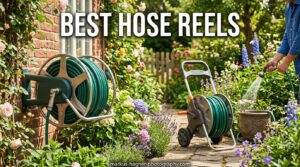 Best Hose Reels