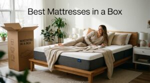 Best Mattresses in a Box