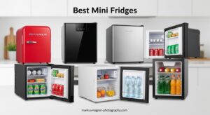 Best Mini Fridges