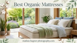 Best Organic Mattresses