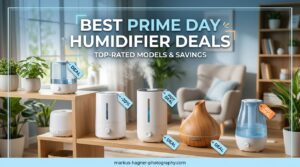 Best Prime Day Humidifier Deals
