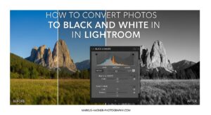 How to Convert Photos to Black and White in Lightroom