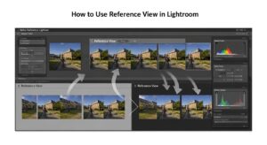 How to Use Reference View in Lightroom