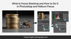 What Is Focus Stacking and How to Do It in Photoshop and Helicon Focus