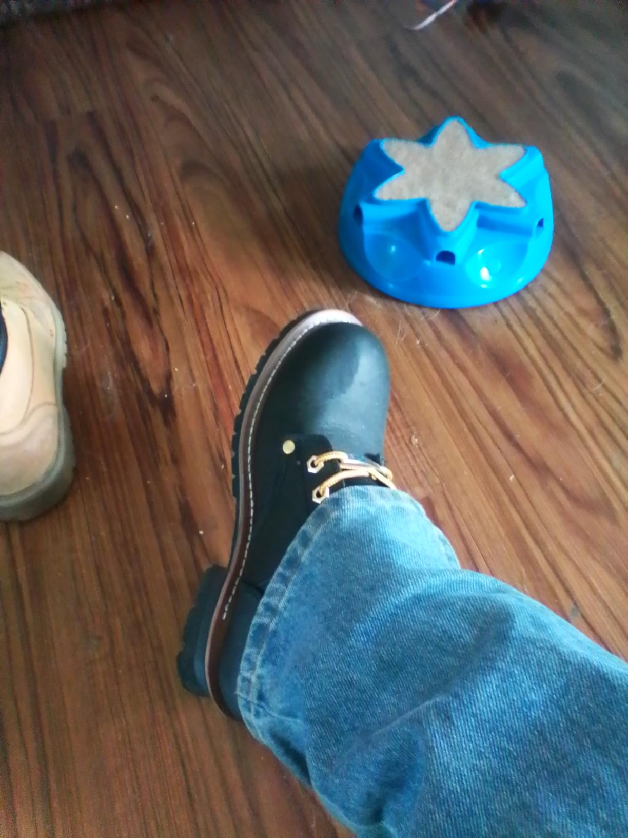 Ad Tec Men's 1428 Logger Boots customer photo 2