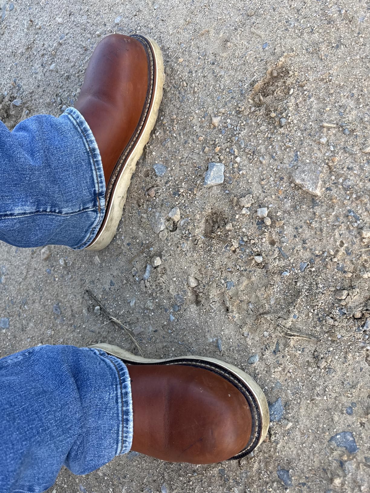 Thorogood American Heritage 11