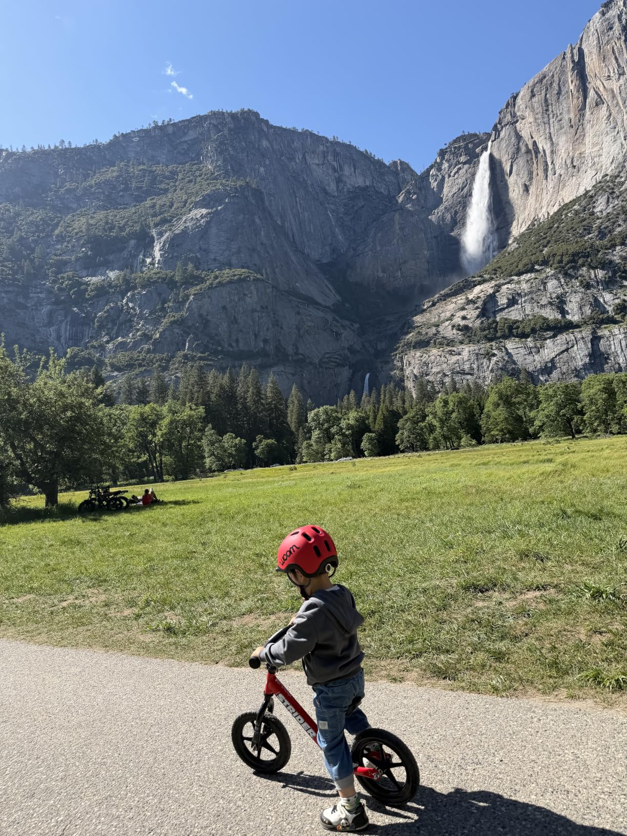 Strider 12 Sport Balance Bike - No Pedal Balance Bicycle for Kids 1 to 4 Years customer photo 1