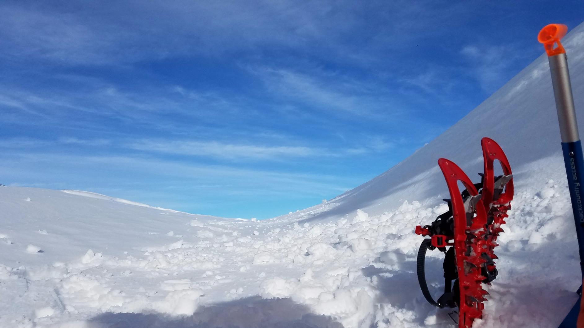 TSL Symbioz Elite Snow Shoes customer photo 2