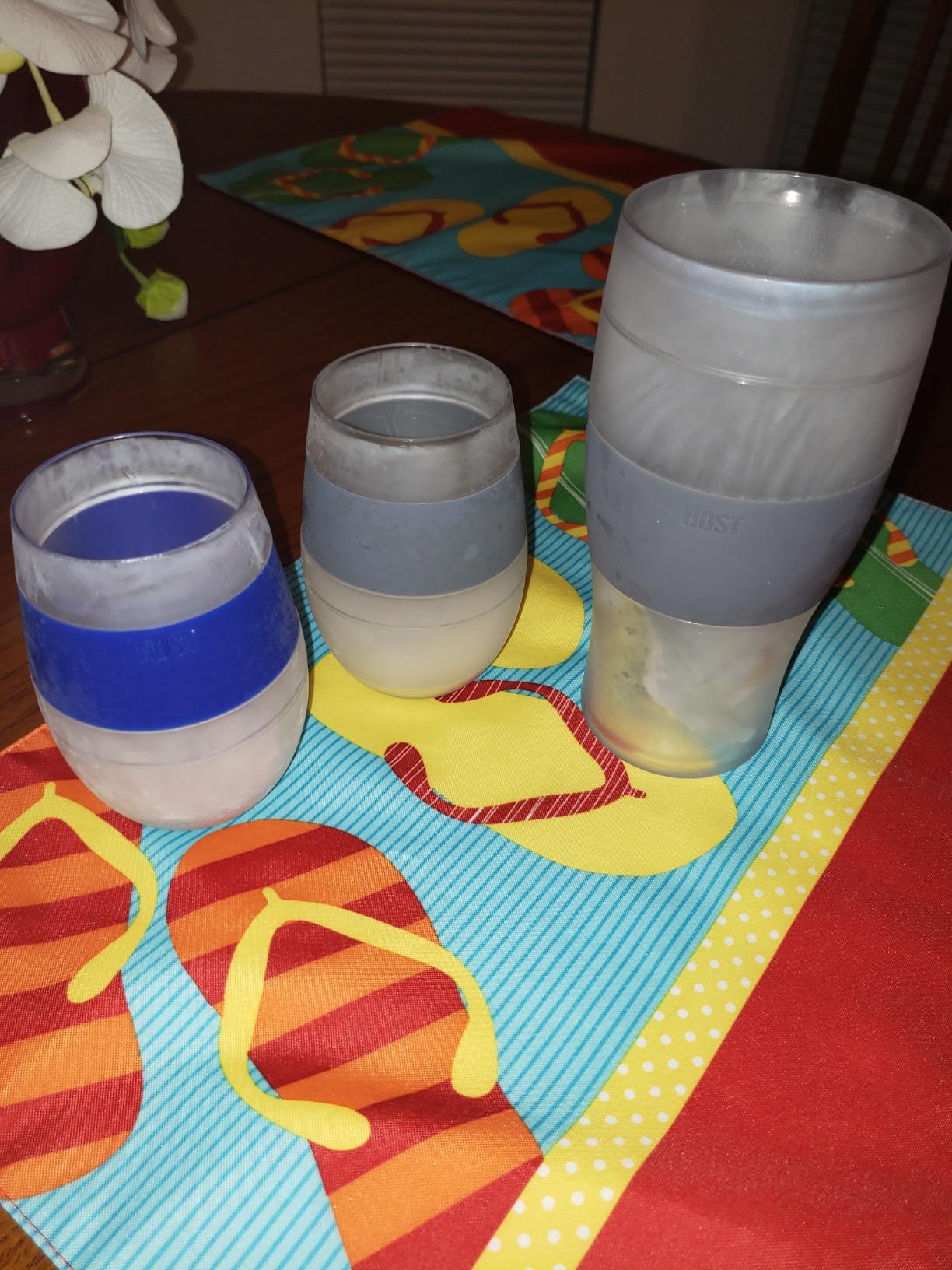 Host Freeze Plastic Wine Glasses for Red and White Wines, Double Wall Insulated Wine Cooling Cups, Freezable Drink Chilling Tumblers, 8.5 oz, Set of 4, Assorted Colors customer photo 1