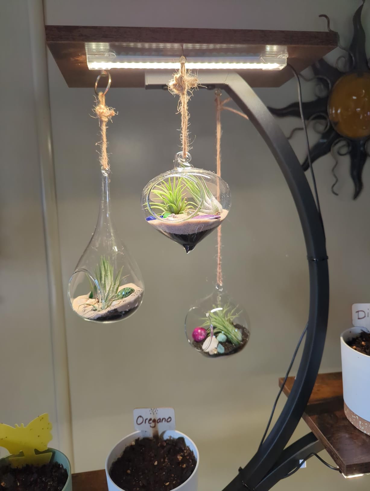 Mkono 3 Pack Glass Hanging Planter Air Fern Holder Terrarium Plants Hanger Vase, Home Christmas Decoration Gifts for Plant Lovers, Succulent Moss Tillandsias Air Plants Globe customer photo 1