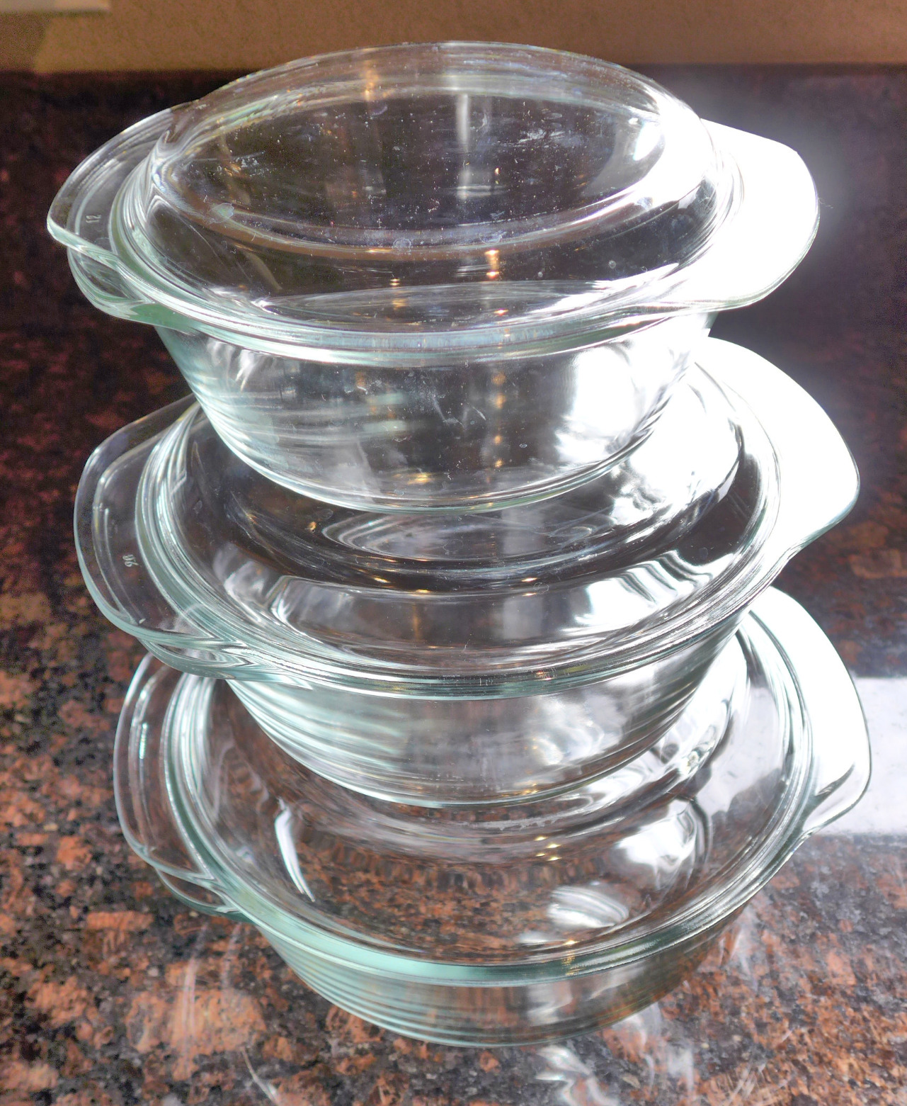 Moss & Stone 6-Piece Clear Glass Casserole Dishes for Oven With Lids, Durable Tempered Borosilicate Glass Bakeware Set customer photo 1