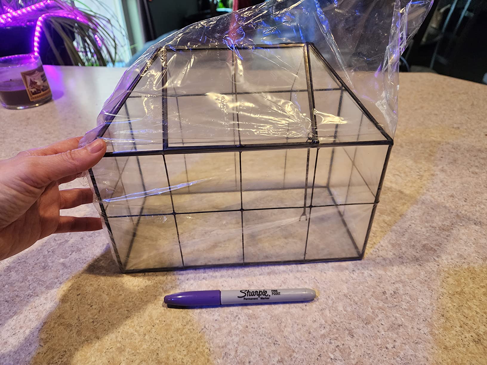 Large Glass Terrarium House Planter - Succulent Plant Glass Greenhouse with lid 9.8