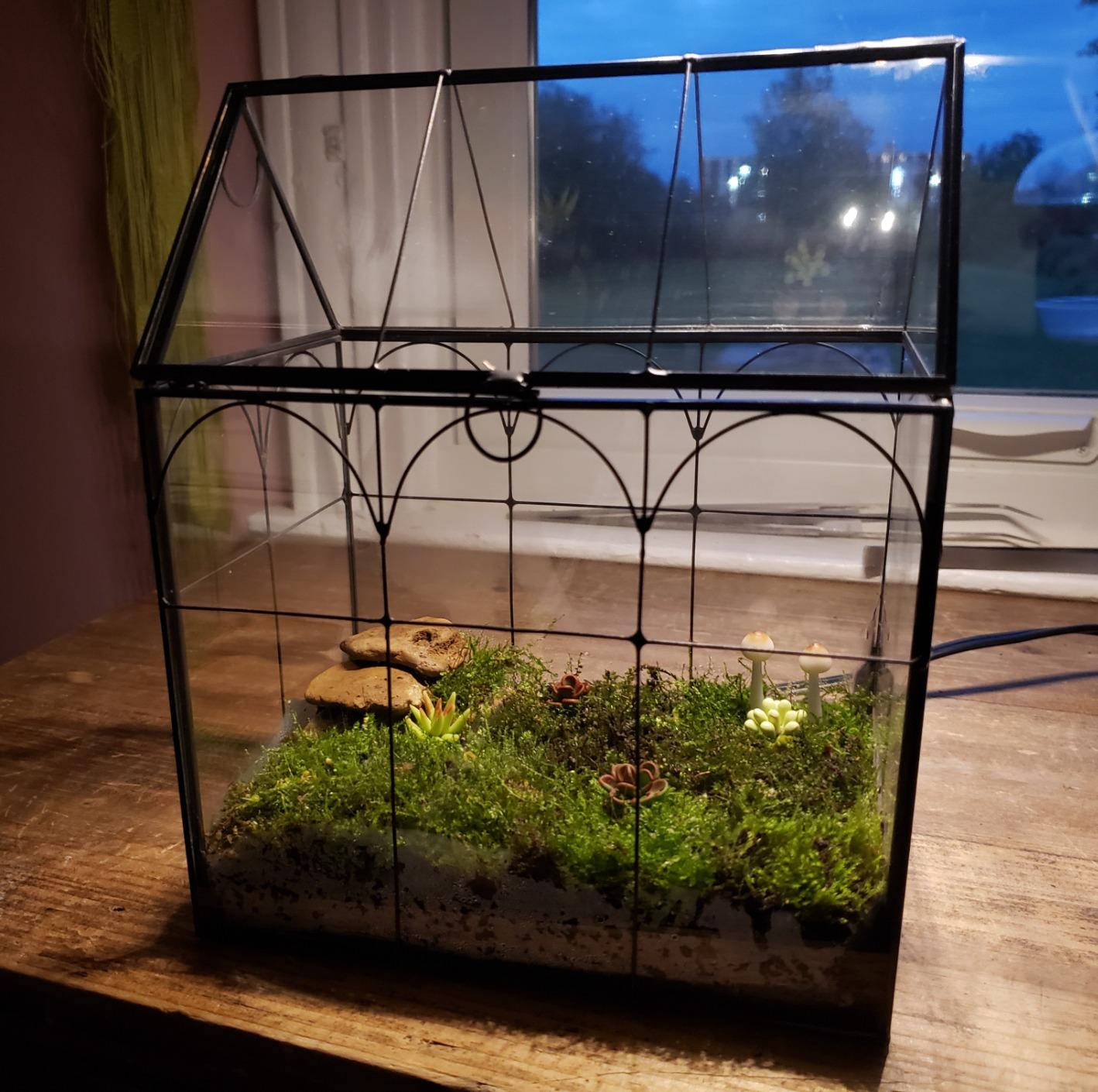 ELEGANTLIFE Glass Geometric Plant Terrarium, Succulent & Air Planter for Home Garden Office Decoration, No Plants (Black Hexagonal) customer photo 1