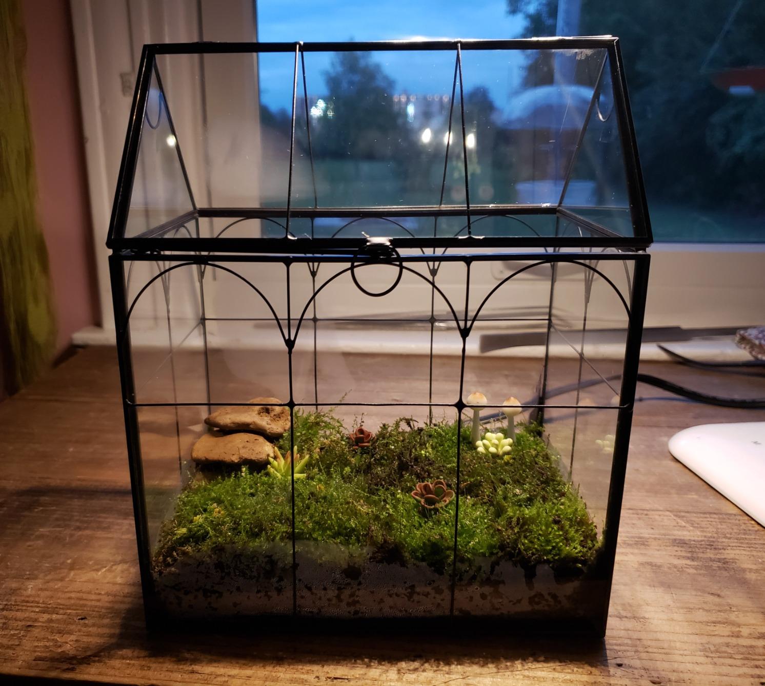 ELEGANTLIFE Glass Geometric Plant Terrarium, Succulent & Air Planter for Home Garden Office Decoration, No Plants (Black Hexagonal) customer photo 2