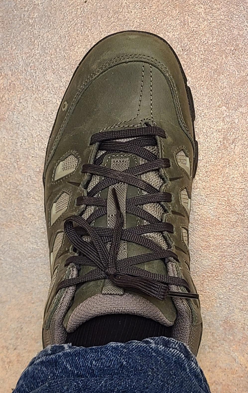 Oboz Men's Sawtooth X Low Hiking Shoe customer photo 1