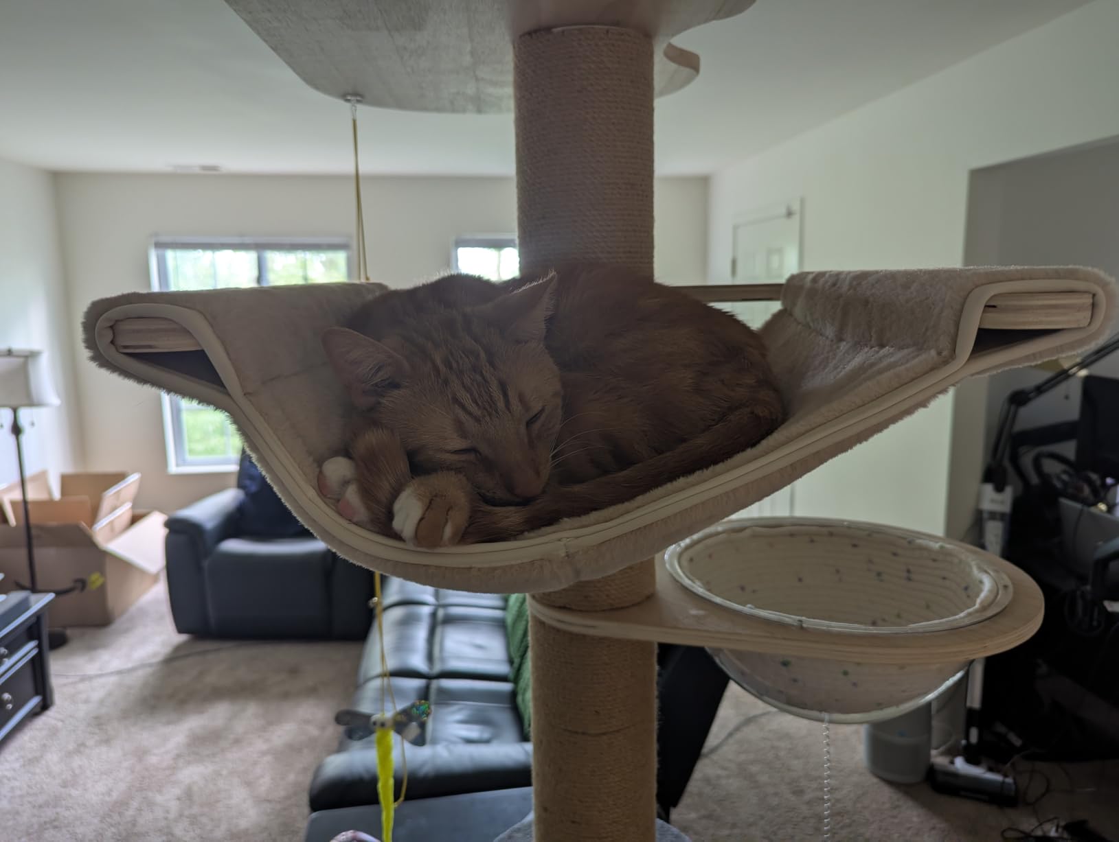 Floor to Ceiling Cat Tree Height (50-120.5in) Adjustable Cat Tower 5 Tier Hemp Scratching Post High Cat Tree Sturdy Activity Tree Indoor customer photo 2