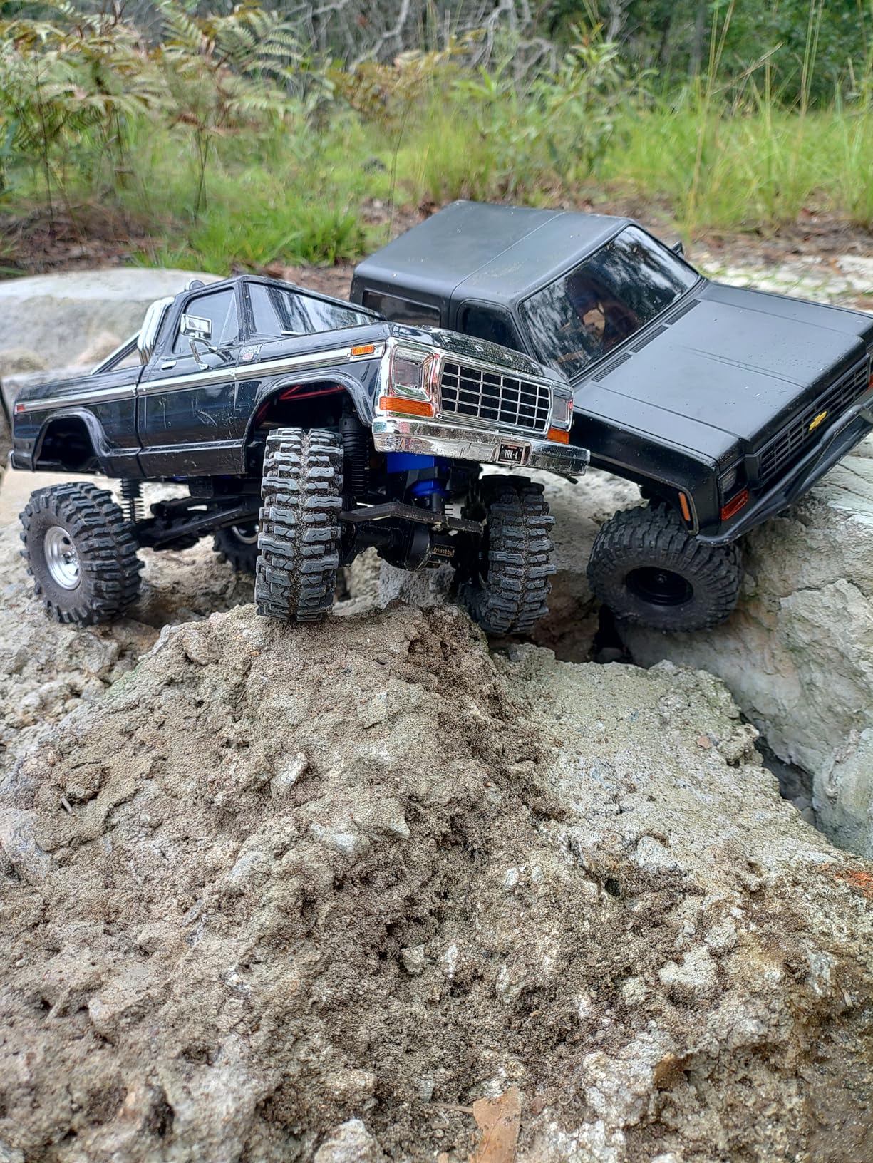 Traxxas TRX-4M 1/18 F-150 High Trail Crawler Truck customer photo 1