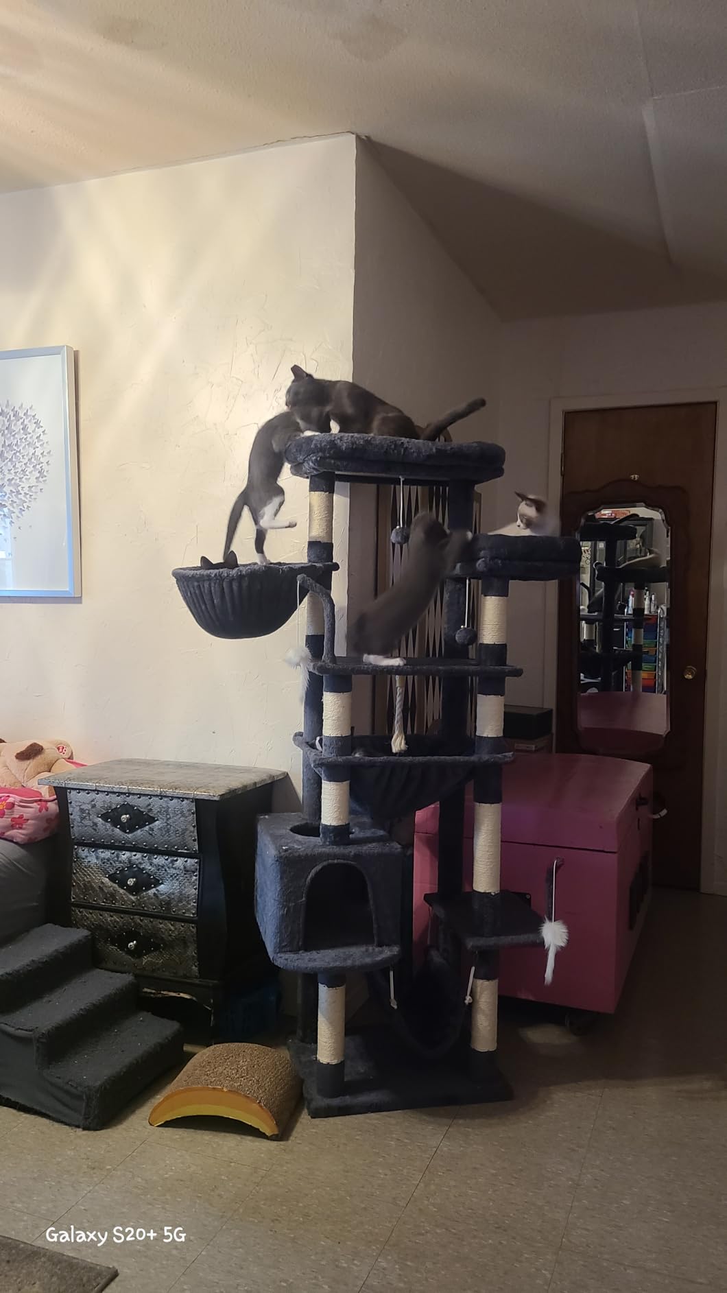 Gitelsnour Cat Tree, Cat Tower for Large Cats with 2 Big Platforms, 2 Baskets, condo and Toys, 63