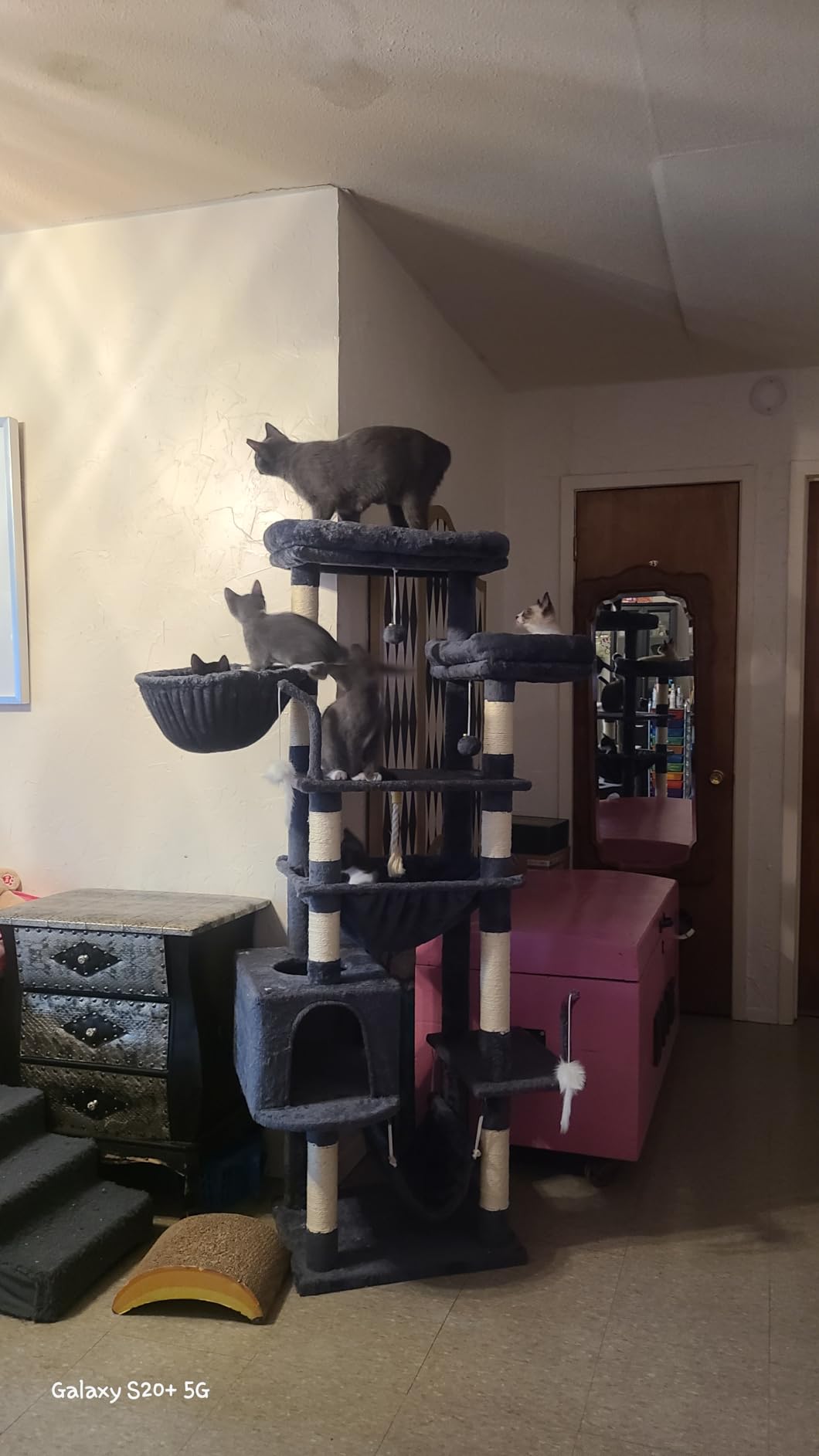 Gitelsnour Cat Tree, Cat Tower for Large Cats with 2 Big Platforms, 2 Baskets, condo and Toys, 63