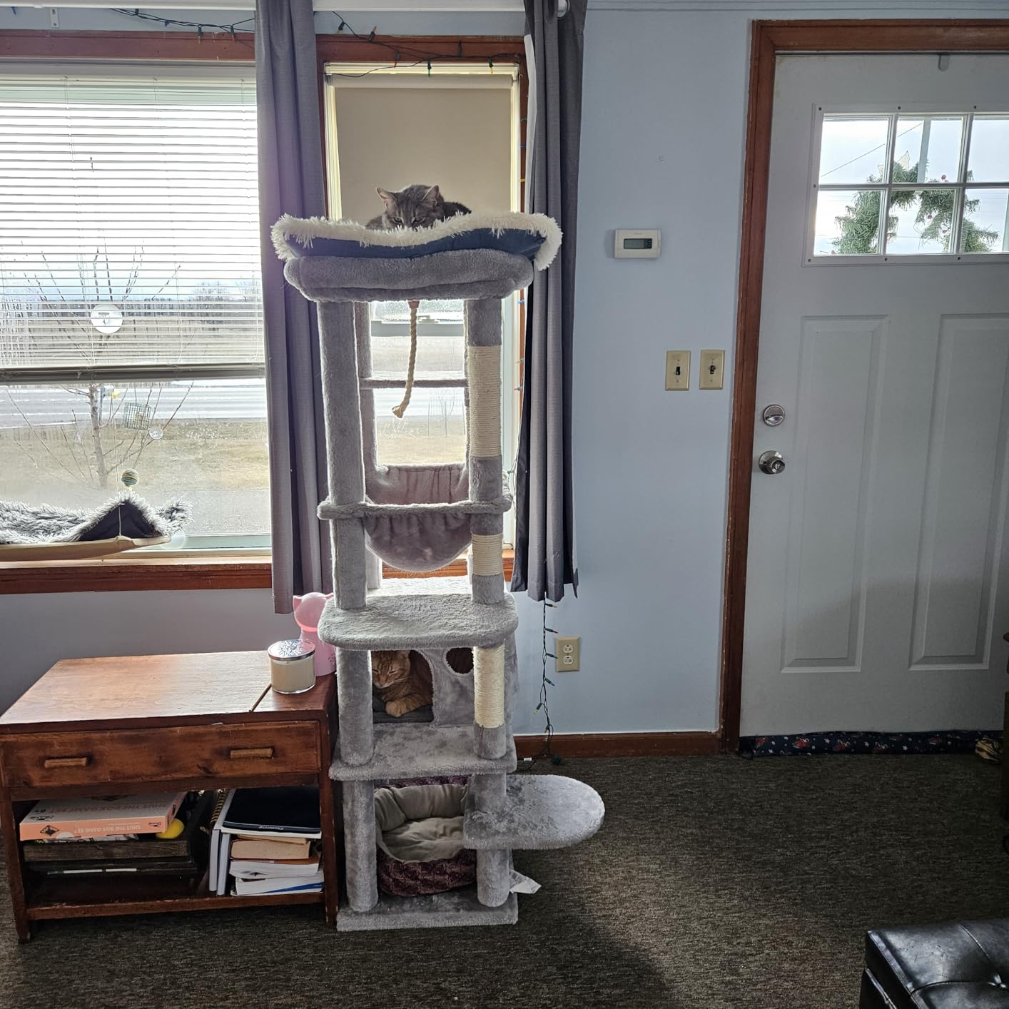 Heybly Cat Tree for Large Cats 20lbs Heavy Duty, 60 inches XXL Cat Tower for Indoor Cats, Multi-Level Furniture Condo with Big Padded Plush Perch, Cozy Basket, Smoky Gray HCT050G customer photo 1