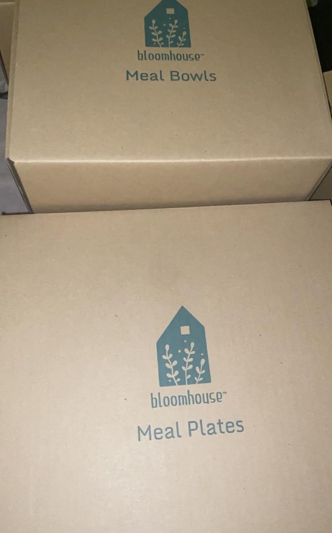 Bloomhouse Santorini Mist Double Bowl Terracotta Reactive Glaze Plates and Bowls Dinnerware Set - Amber, Service for Four (16pcs) customer photo 1