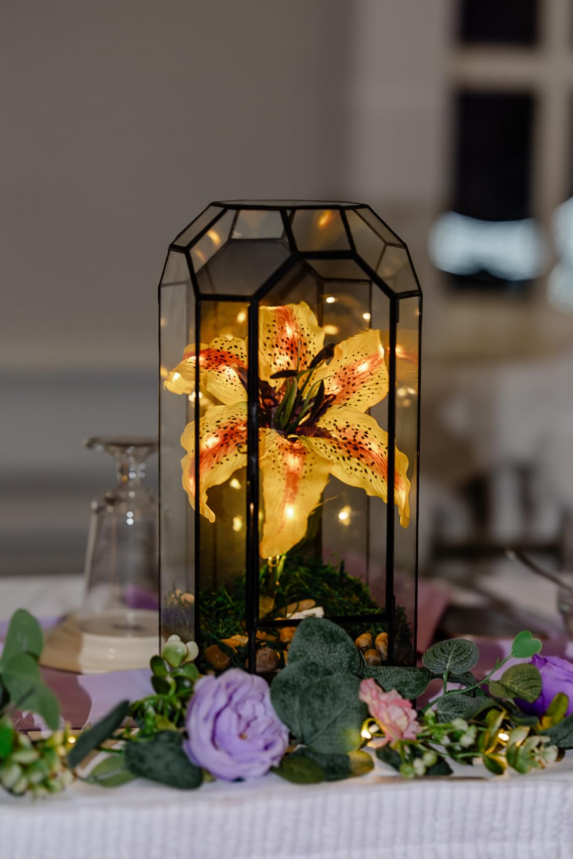 NCYP Glass Geometric Plant Terrarium with Door for Succulent Plants, Cacti - 5.5