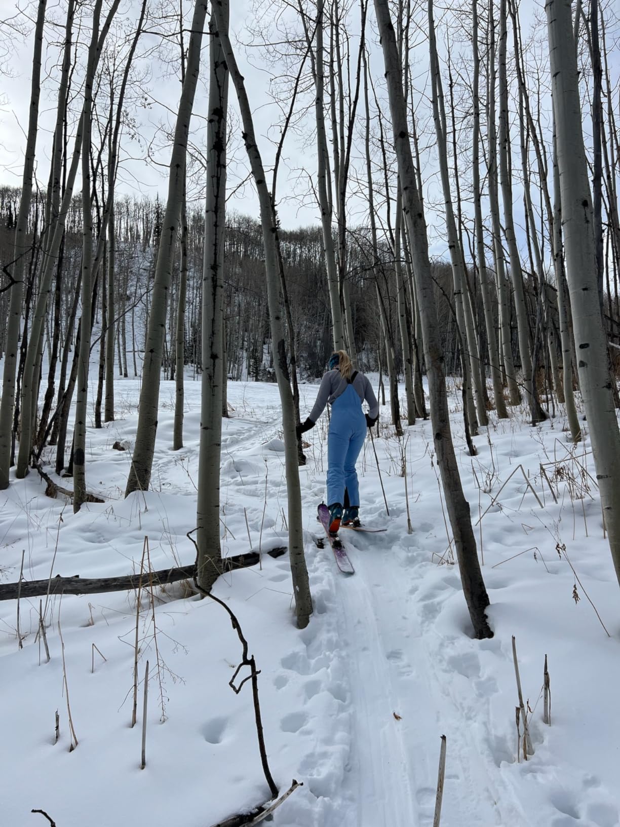 Women's Legendary Insulated Bib Pants customer photo 1