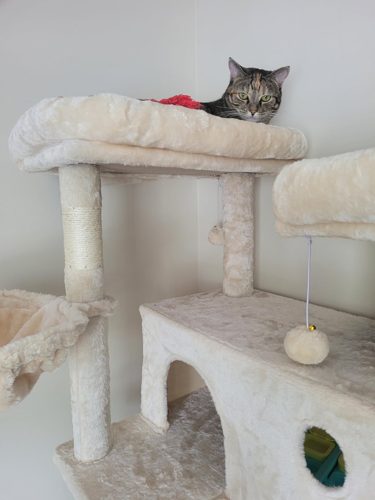 SHA CERLIN 81in Multi-Level Tall Cat Tree Tower for Indoor Kitties/Larger Cat Condo Furniture with Hammock/Cozy Pussycat Perches/Sisal Scratching Posts/Pet House/Wide Base/Grey customer photo 2