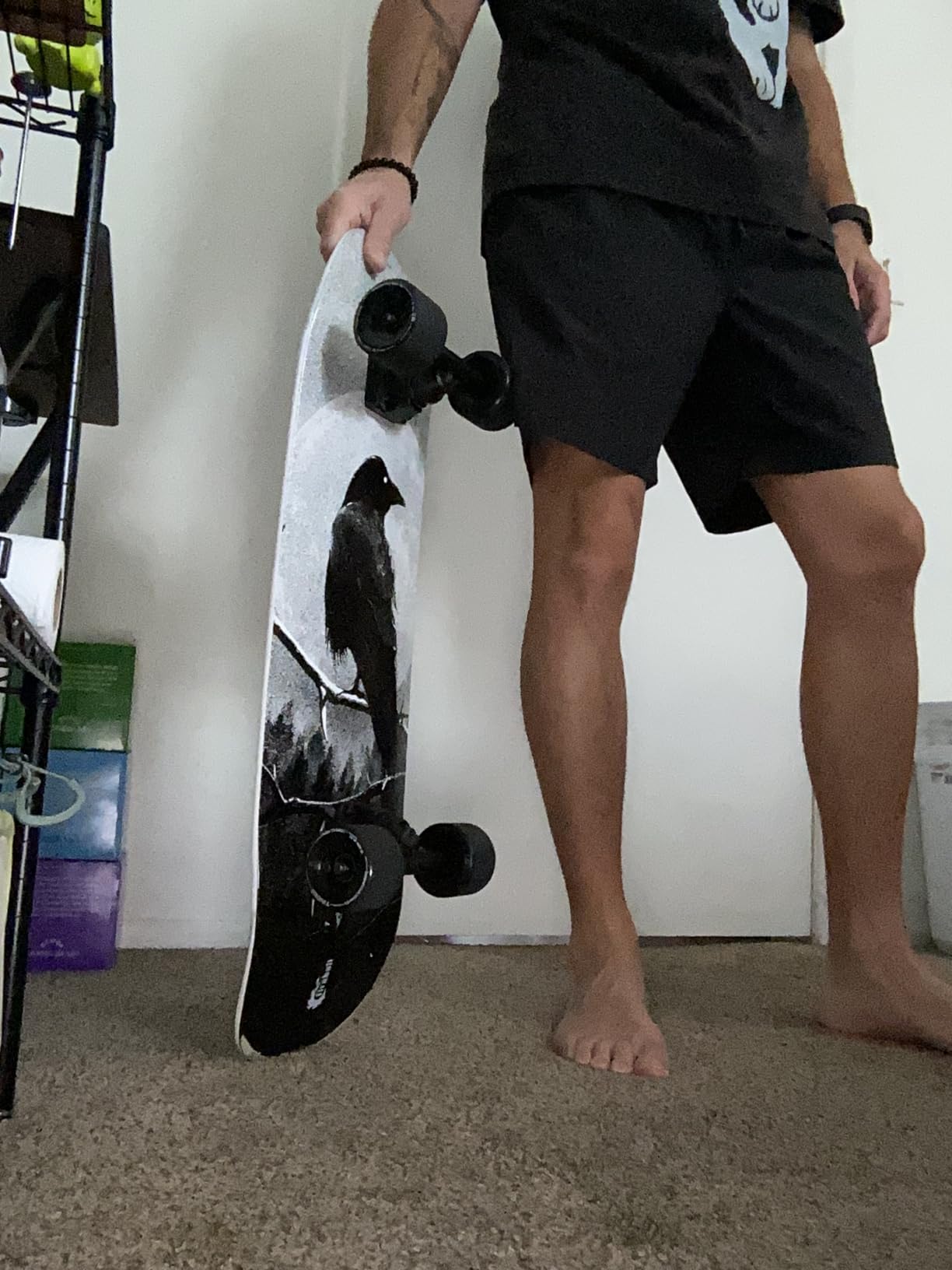 Fireball Mini Cruiser Longboard Skateboard Complete - Fully Assembled & Ready to Ride 29.5 x 8.5