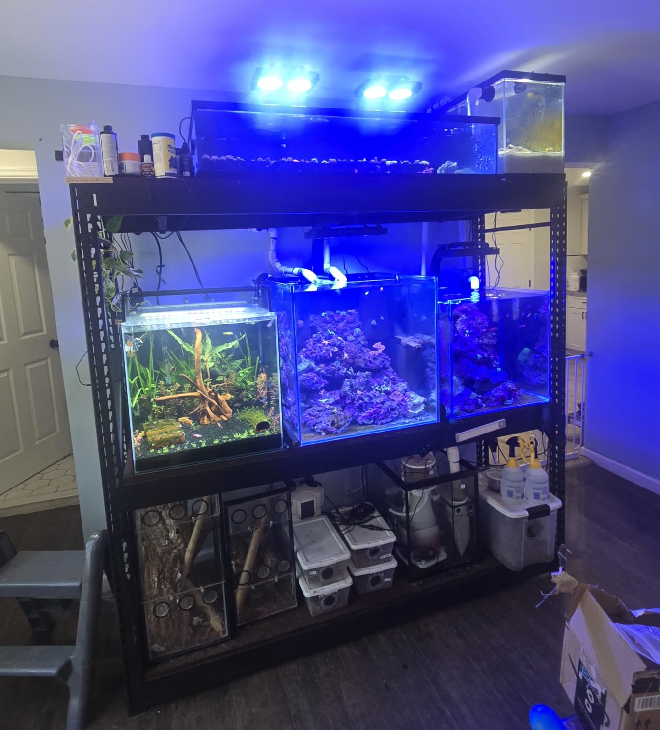 MagTool Aquarium in-Sump DC Protein Skimmer with Controllable DC Pinwheel Pump for Up to 50-100 Gal Reef Tank (N100 Plus) customer photo 1