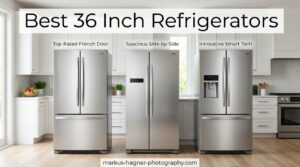 Best 36 Inch Refrigerators