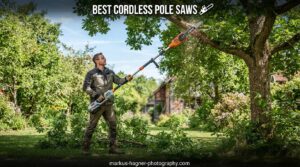 Best Cordless Pole Saws