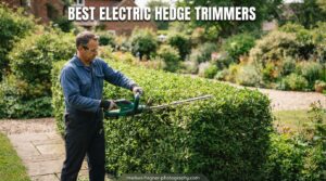 Best Electric Hedge Trimmers