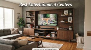 Best Entertainment Centers