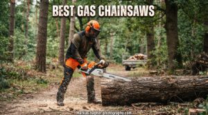 Best Gas Chainsaws
