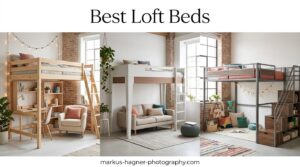 Best Loft Beds