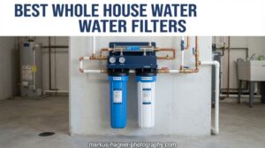 Best Whole House Water Filters