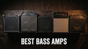 best bass amps