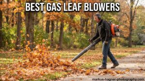 best gas leaf blowers