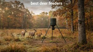 best deer feeders