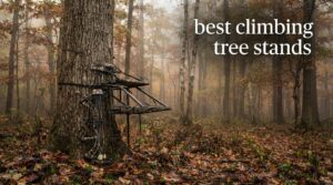 best climbing tree stands