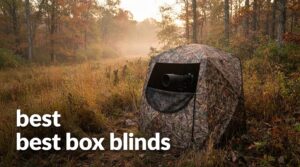 best box blinds