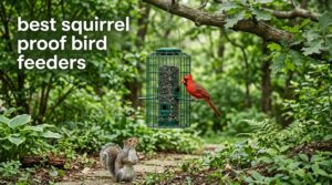 best squirrel proof bird feeders