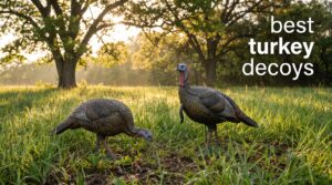 best turkey decoys