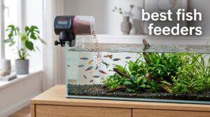 best fish feeders
